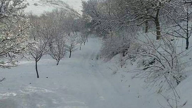 ÇİFTÇİ'NİN UMUDUNA KARLAR YAĞDI 