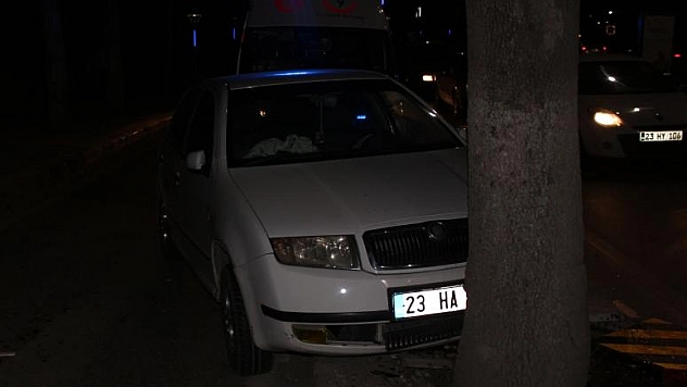 OTOMOBİL AĞACA ÇARPTI
