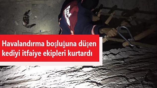HAVALANDIRMA BOŞLUĞUNA DÜŞEN KEDİYİ İTFAİYE KURTARDI