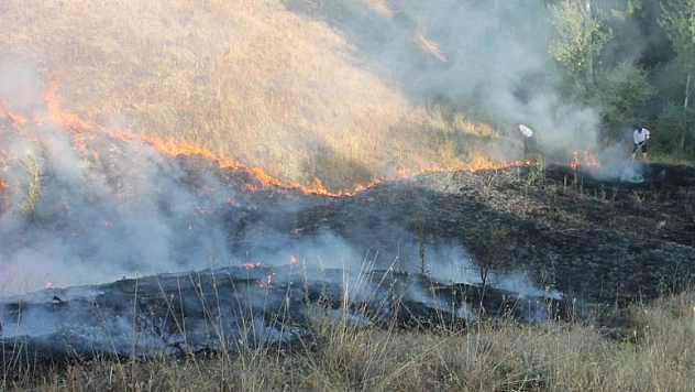 RÜZGAR VE KUŞLAR EKİNLERİN YANMASINA NEDEN OLDU