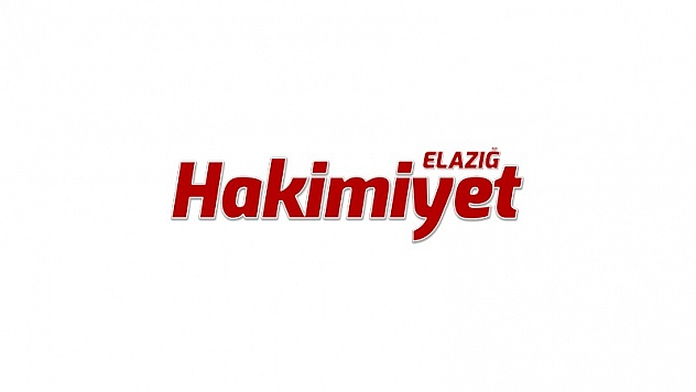 TUNCELİ-ELAZIĞ KARAYOLUNDA DOMUZLAR GÖRÜNTÜLENDİ 