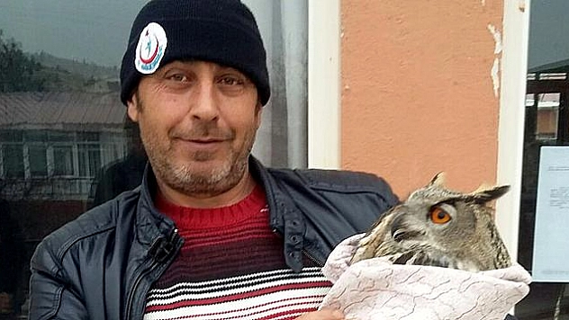 BİTKİN HALDE BULUNAN 'PUHU' DOĞAYA SALINDI