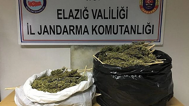 7 KİLO ESRARLA YAKALANAN 3 ŞÜPHELİ TUTUKLANDI