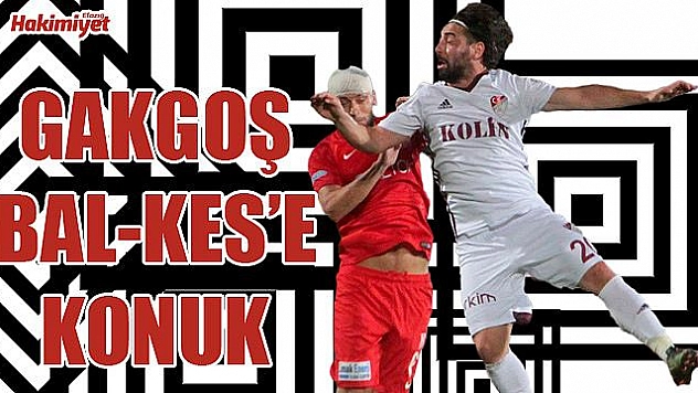 Gakgoş çıkış yakalamak istiyor!