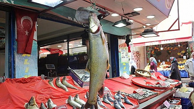 1 METRE 20 SANTİMLİK TURNA YAKALADILAR