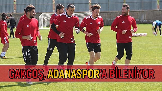 Bjarnason antrenmana çıkmadı