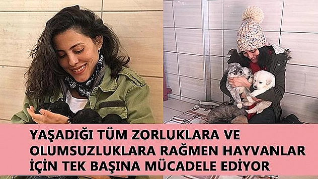  HAYVANLARA ADANMIŞ BİR HAYAT