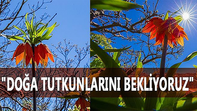 İKİ HAFTALIK GÖRSEL ŞÖLEN