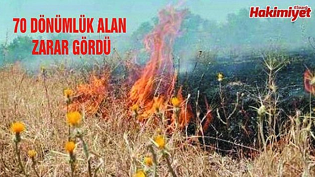ELAZIĞ'DA YANGIN