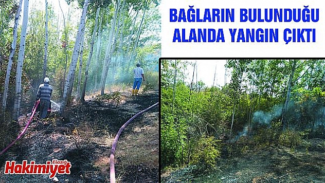 KEBAN'DA AĞAÇLIK SAHADA YANGIN