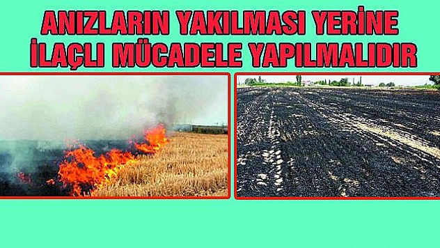 TOPRAĞIN EN BÜYÜK DÜŞMANI ANIZ YANGINI