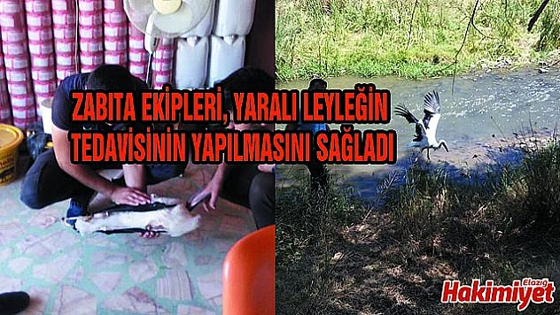 YARALI LEYLEK TEDAVİSİNİN ARDINDAN DOĞAL ORTAMA BIRAKILDI