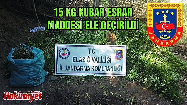 4 BİN 100 KÖK KENEVİR ELE GEÇİRİLDİ