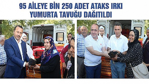 ELAZIĞ'DA 95 AİLEYE YUMURTA TAVUĞU HİBE EDİLDİ