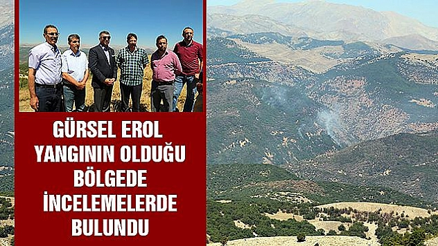 ORMANLIK ALANDAKİ ÖRTÜ ALTI YANGINI