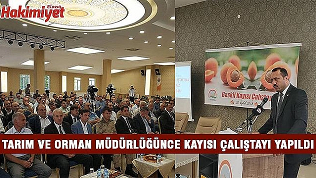 BASKİL'DE KAYISI ÇALIŞTAYI DÜZENLENDİ