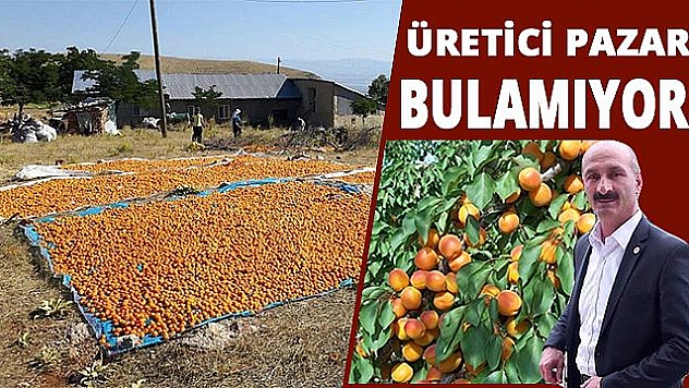 KAYISIYA DESTEK İSTİYORUZ