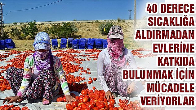 ÜNİVERSİTEYE HAZIRLANAN TARIM İŞÇİLERİ