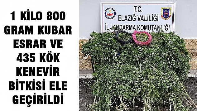 UYUŞTURUCU OPERASYONU: 5 GÖZALTI