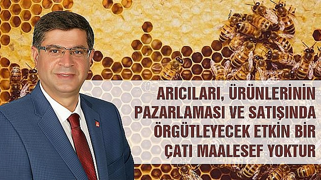 ARICILARIN SORUNLARI ARAŞTIRILSIN