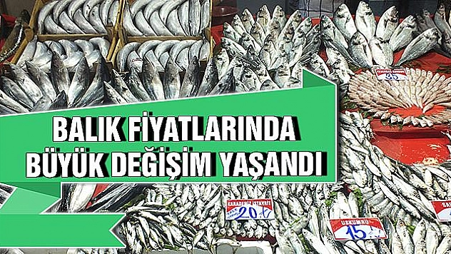 Senenin En Pahalı Balığı