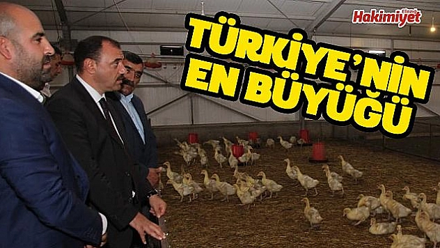 VALİ KALDIRIM KOVANCILAR'DA