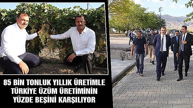 VALİ KALDIRIM, ÜZÜMÜ İLE MEŞHUR HOŞ KÖYÜ'NDE