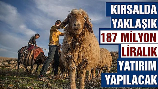 134 kırsal kalkınma projesine 92 milyon lira hibe