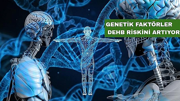 Dikkat eksikliği ve hiperaktivitede genetik faktör!