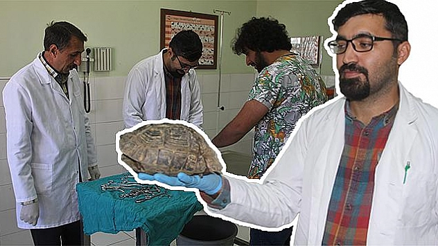 KAPLUMBAĞANIN KIRILAN KABUĞU 'ÇİVİ VE TELLE' BİRLEŞTİRİLDİ