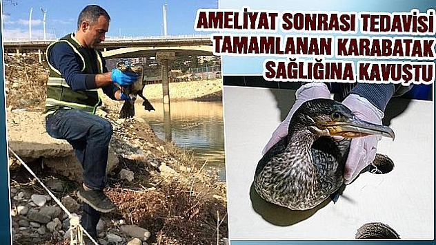 MİDESİNDE 2 OLTA KANCASI BULUNAN 'KARABATAK' KURTARILDI