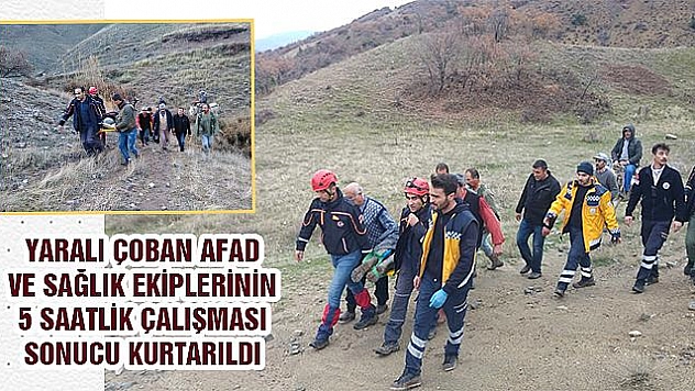 DOMUZ SALDIRISINA UĞRAYAN ÇOBANI EKİPLER KURTARDI