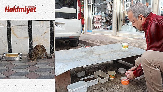 Esnaf, sokak hayvanlarına sahip çıkıyor