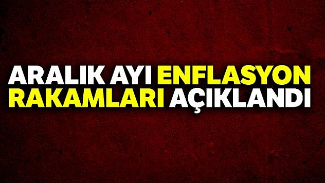 Aralık ayı enflasyon rakamları açıklandı...