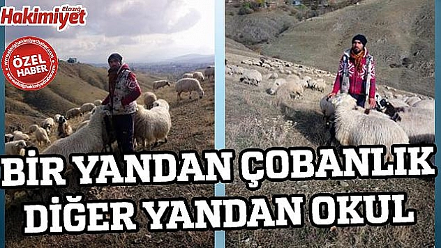 BU ÇOBAN BAŞKA ÇOBAN 