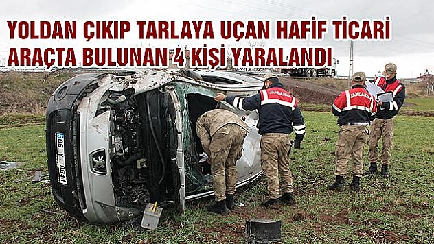 Elazığ'da otomobil tarlaya uçtu