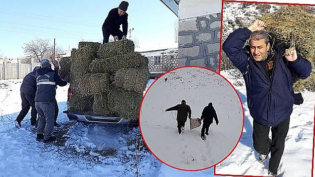 Elazığ'da yaban keçileri için yem bırakıldı