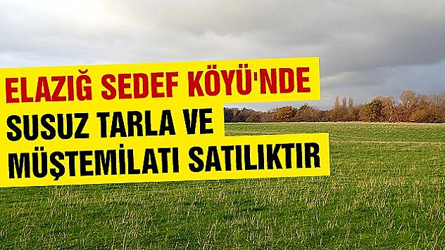 Elazığ Sedef Köyü'nde  satılık susuz tarla ve müştemilatı
