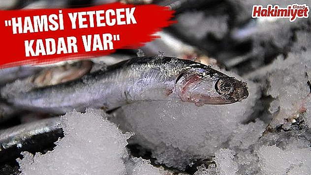 'Hamsinin kulağına kar suyu kaçtı'