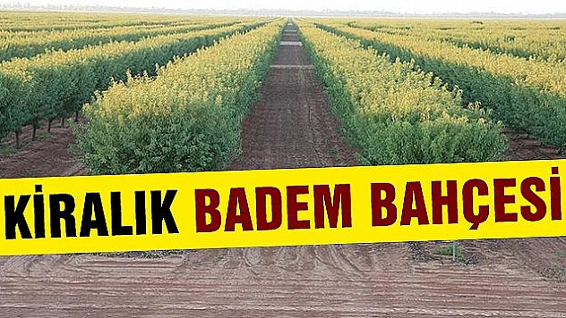 Kiralık Badem bahçesi