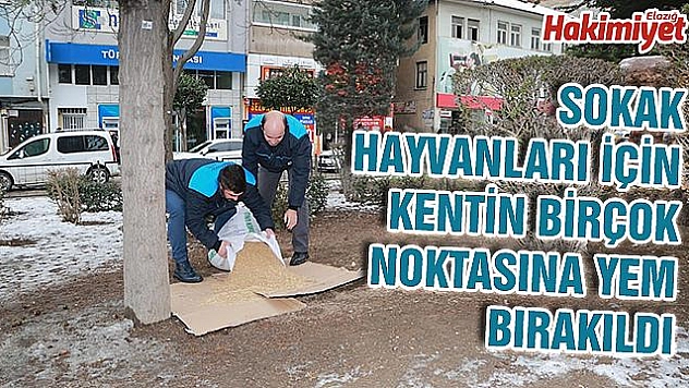 SOKAK HAYVANLARI İÇİN YEM BIRAKILDI