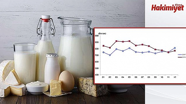Aralık ayında 768 bin 714 ton inek sütü toplandı