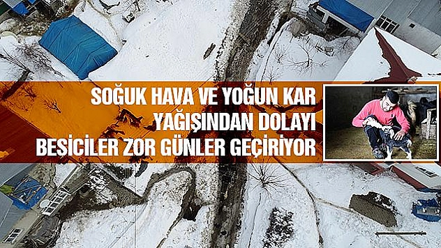 KARA KIŞLA İŞ YÜKÜ ARTAN BESİCİLER EN ÇOK BİBERONA İHTİYAÇ DUYUYOR