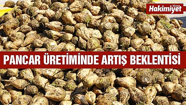 ŞEKER PANCARI ÜRETİMİNDE 'SÖZLEŞME' ZAMANI