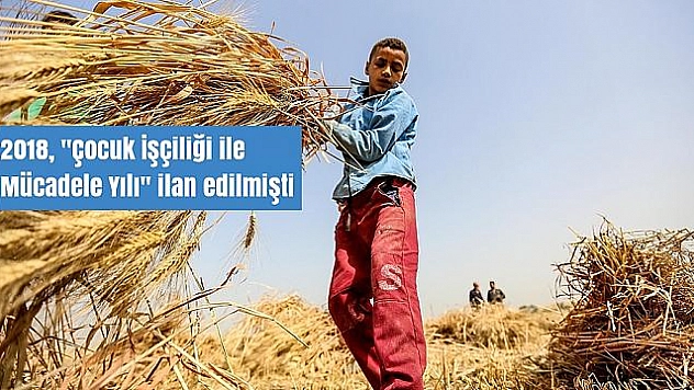 Her 10 Çocuktan 1'i İşçi!