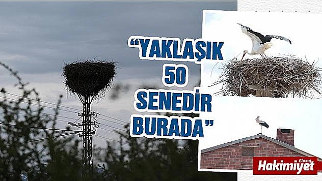 Leyleklerin yarım asırlık yuvası