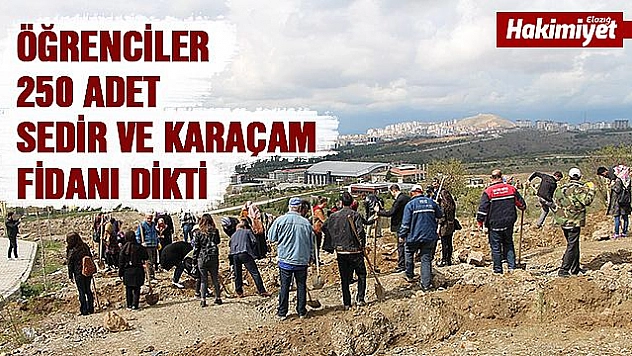 Öğrenciler fidan dikti