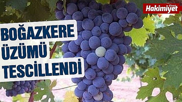 Vali Kaldırım Duyurdu... Bir Ürün Daha Tescil Edildi