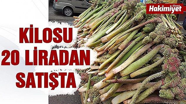 YAYLA MUZU ''IŞKIN'' ELAZIĞ'DA SATIŞA ÇIKTI