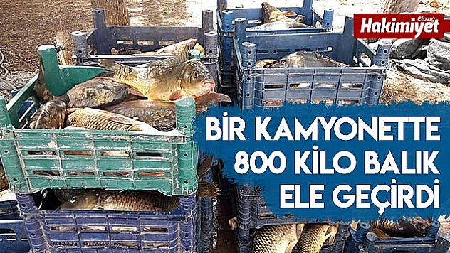  800 Kilo kaçak balık ele geçirildi
